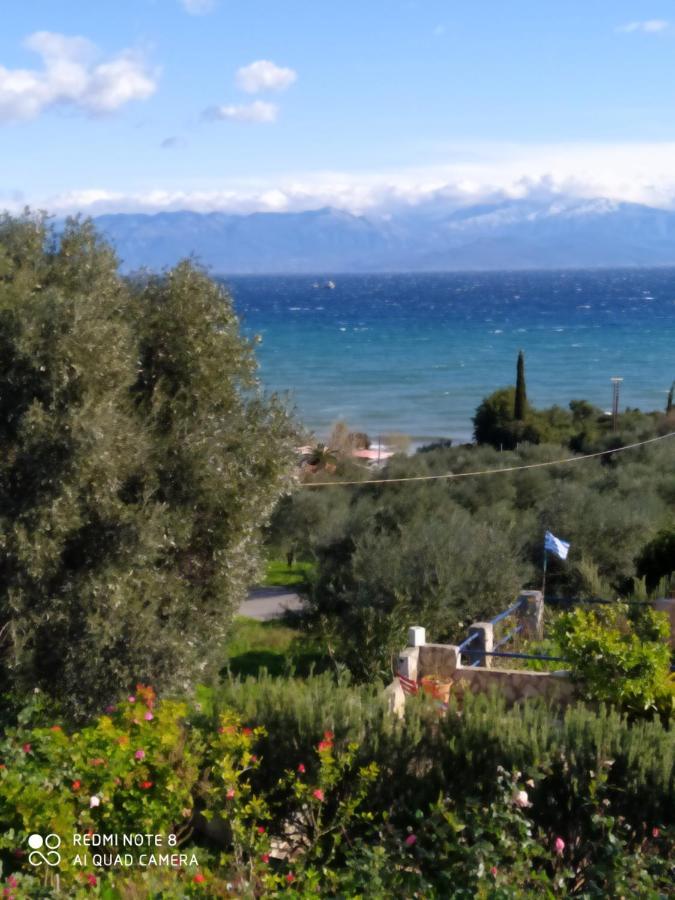 Villa Panorama Michalis Haikos Two Minutes Walk To The Beach Peroulia Kómboi Exterior foto